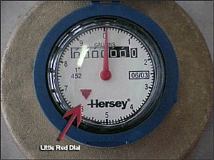 Water Meter displaying small 1100 gallon red triangle